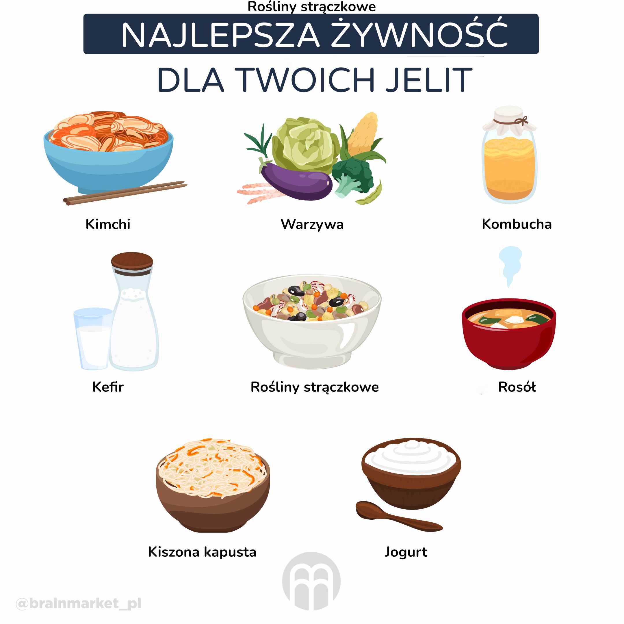 Jaka_je_nejlepsi_potrava_pro_vaše_střeva_infografika_pl